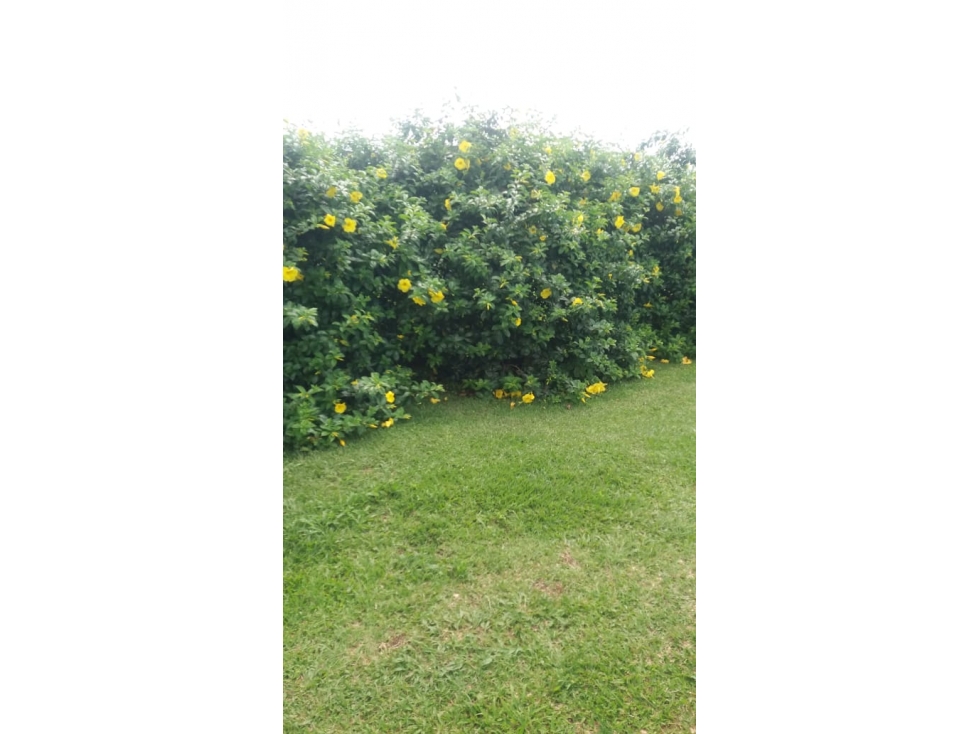 SE VENDE HERMOSA FINCA POR EL MIRADOR ESTANQUILLO ALTO — foto 5