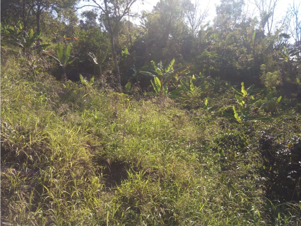 Espectacular terreno para una futura finca turistica Anserma Caldas - 5