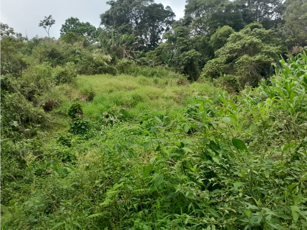 VENDE LOTE POR LA BANANERA LA FLORIDA AREA 2 CUADRAS PENDIENTE POCO — foto 4