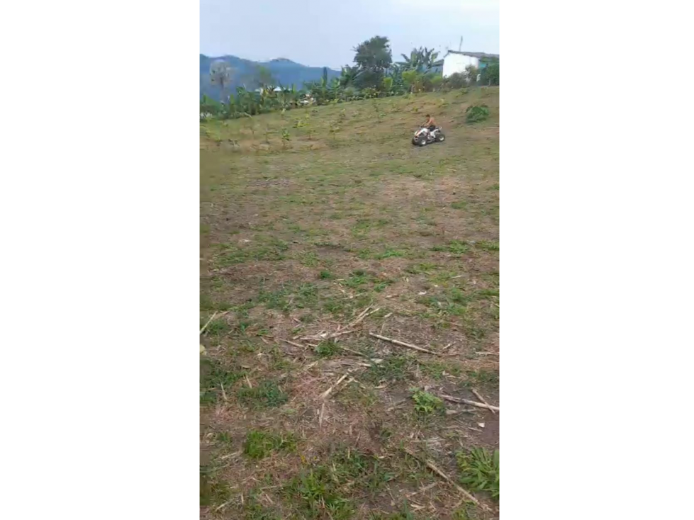 SE VENDE LOTE EN COMBIA VIA A MARSELLA AREA 2500 M2 — foto 4