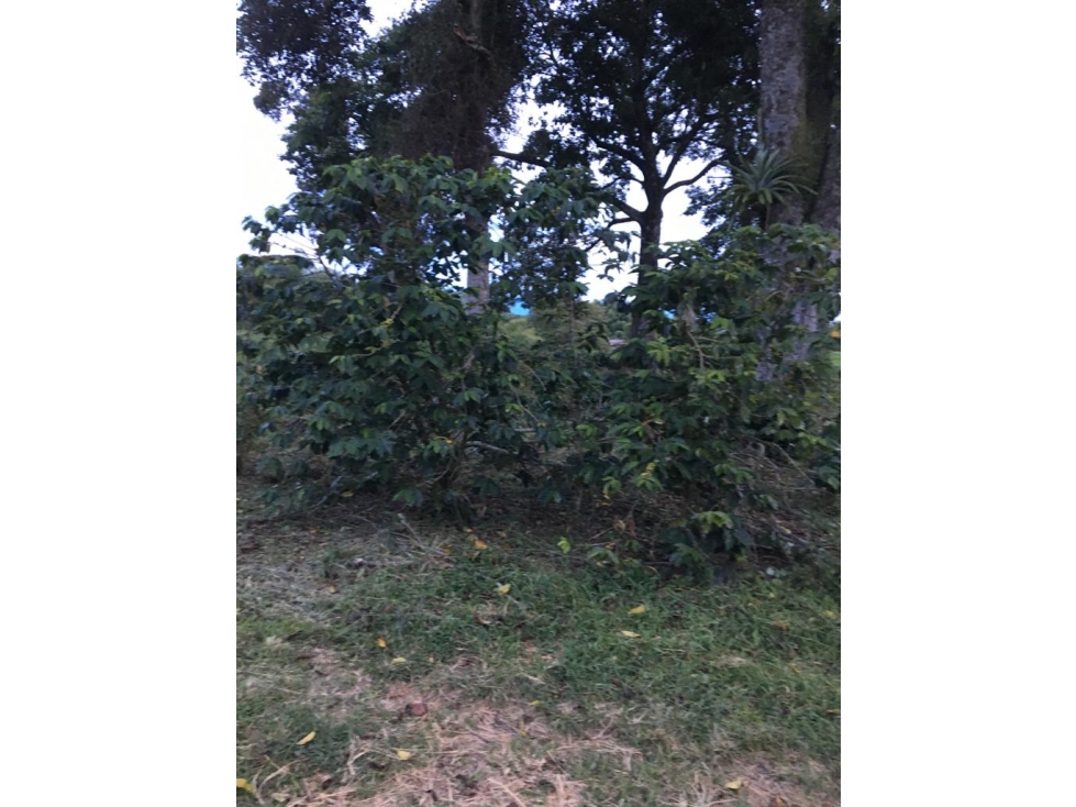 SE VENDE LOTE EN ARAVIA A 5 MINUTOS DE VIA PRINCIPAL — foto 4