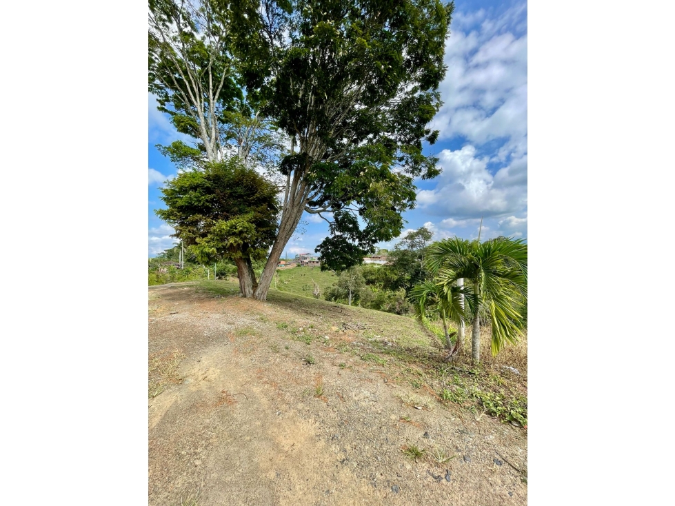 GRAN OPORTUNIDAD DE INVERSION! SE VENDE LOTE SEMI INCLINADO VIA ALCALÁ - 1