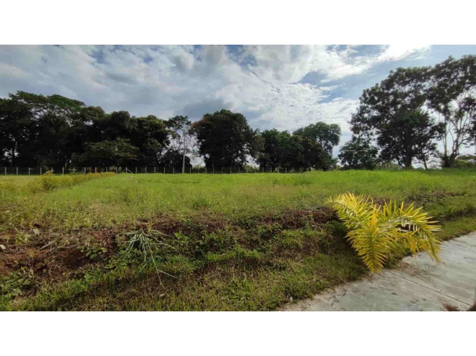 Se Vende Lote Totalmente Plano en Cerritos entrada El Tigre — foto 5