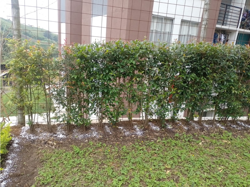 Ganga venta de apartamento en conjunto cerrado en Dosquebradas — foto 5