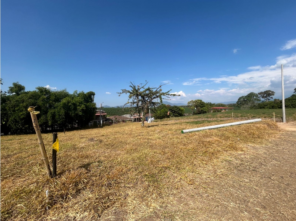 SE VENDE LOTE EN CONDOMINIO LA ESTRELLA AREA 683 M2 — foto 4