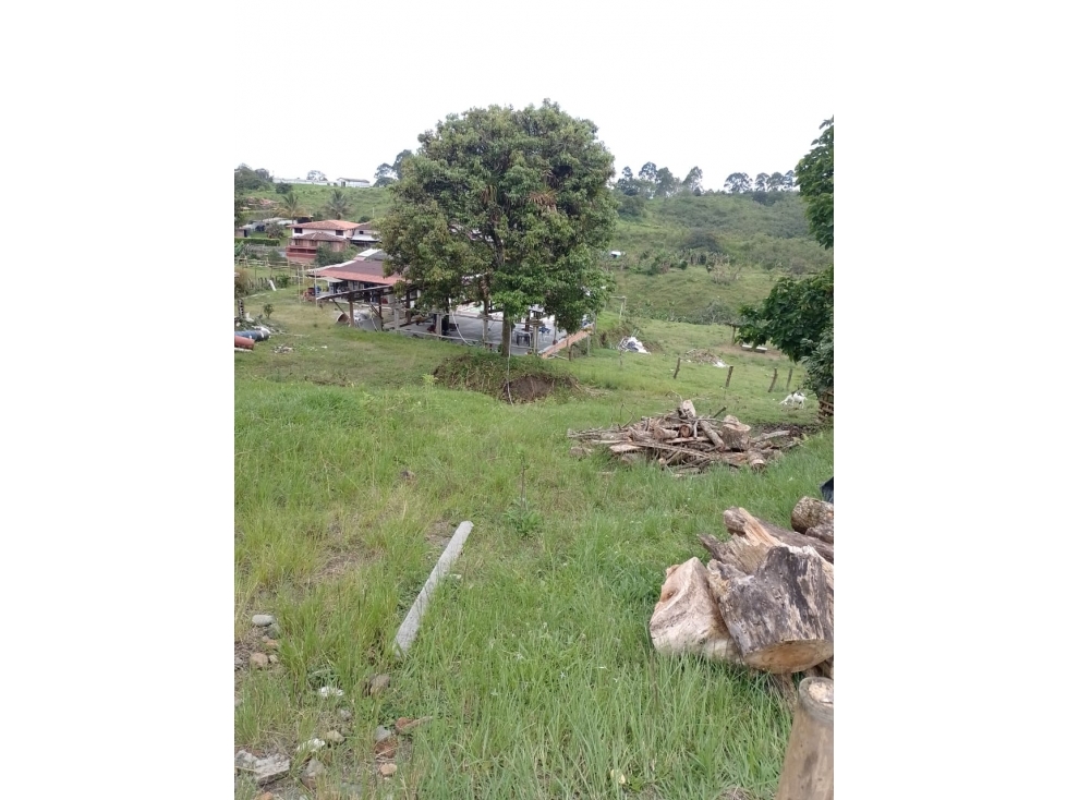 SE VENDE LOTE COMBIA DE 11.800 METROS CUADRADOS — foto 5