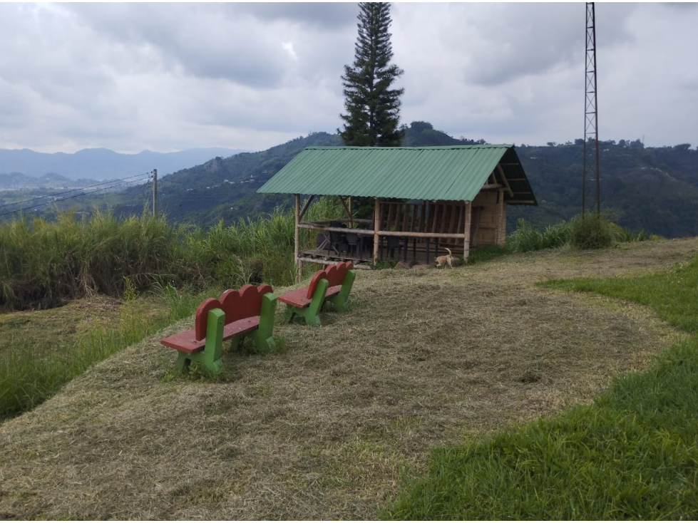 SE VENDE Finca con Vista Espectacular Vía Armenia — foto 4