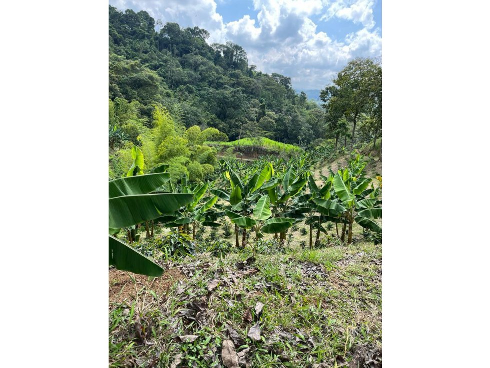 SE VENDE PROYECTO TURÍSTICO EN COMBIA — foto 4