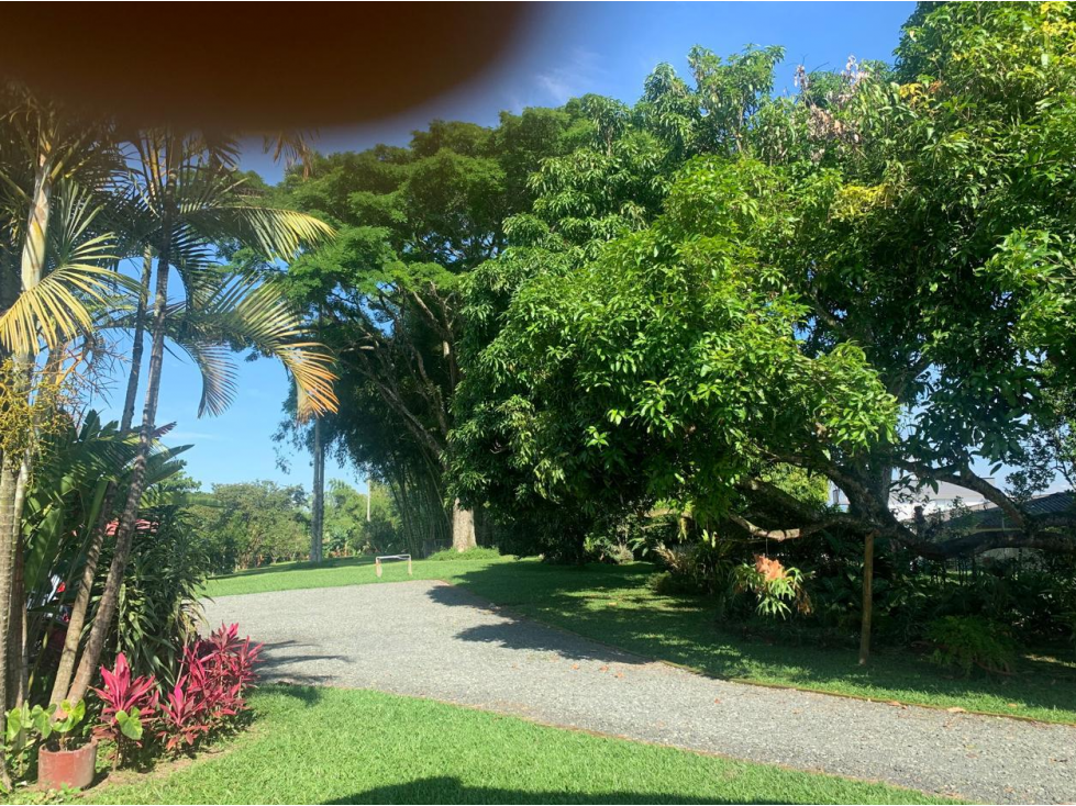 SE VENDE FINCA VIA CONDINA — foto 4