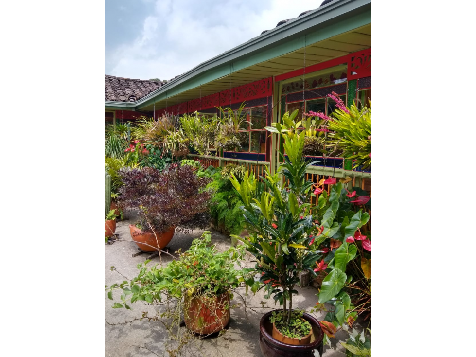 Se vende finca de cafÃ© organico en la zona cafetera de Risaralda — foto 4