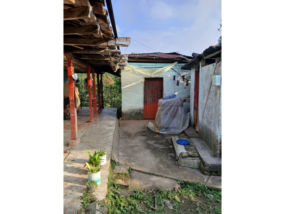 Se vende Finca Agrícola en Anserma Caldas a 20 Minutos del pueblo - 4