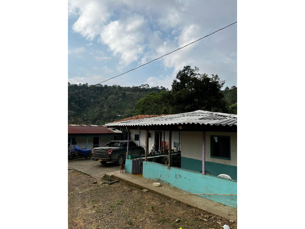 SE VENDE FINCA ENTRE LA VIRGINIA Y SANTUARIO - 4