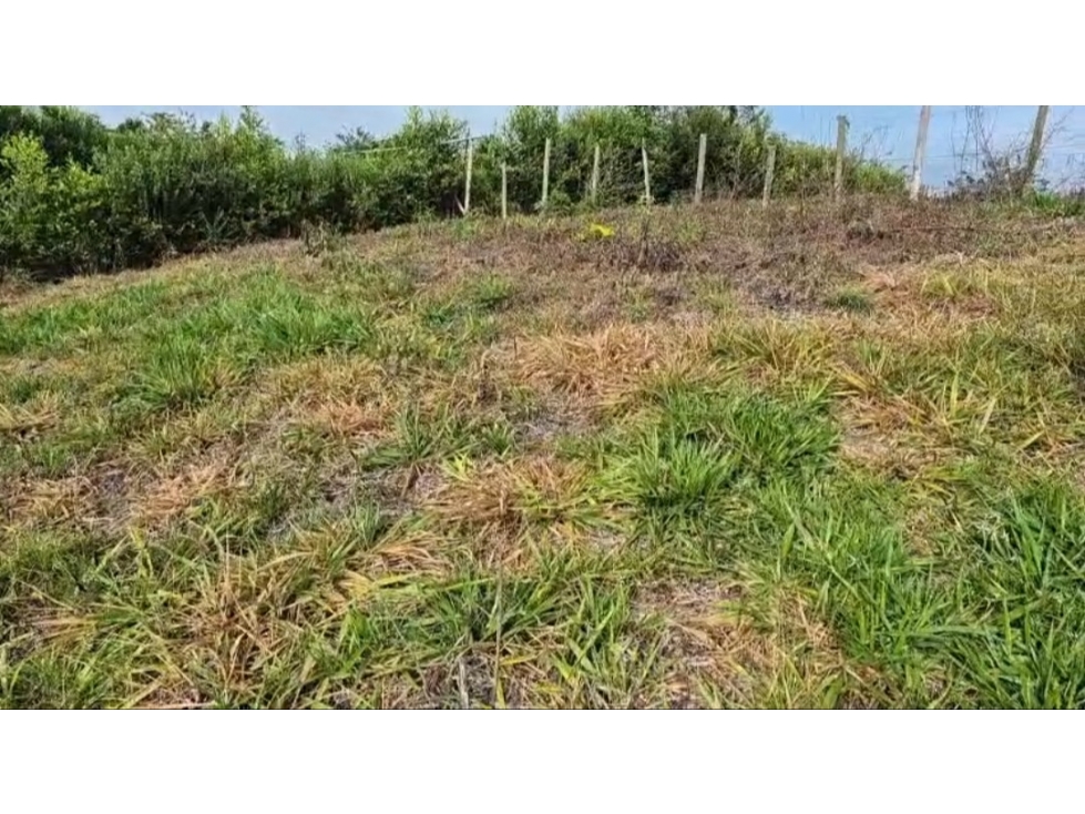 SE VENDE O PERMUTA LOTE EN PARCELACION CERCA DE ALCALA AREA 2500M2 — foto 4