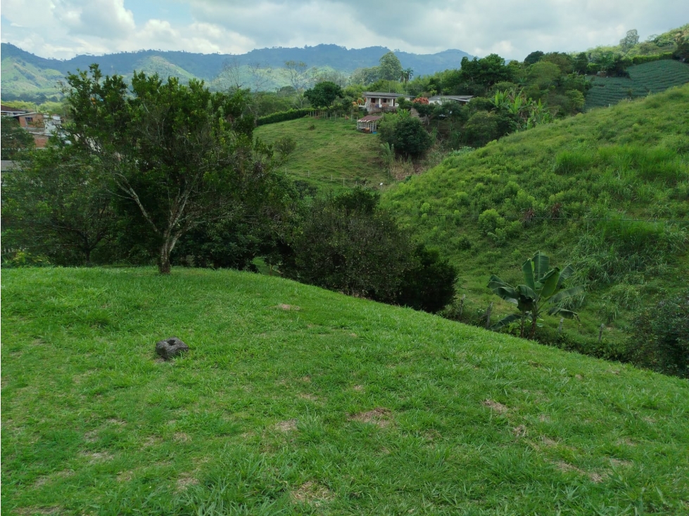 Se venden 2 lotes en Combia Pereira? de 1.330 m² y 1.780 m² — foto 4
