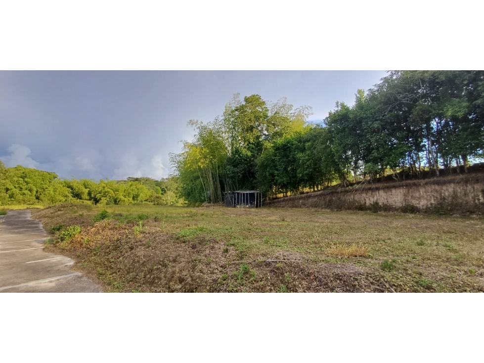 Se venden hermosos lotes en parcelacion en el sector de cerritos ! — foto 3