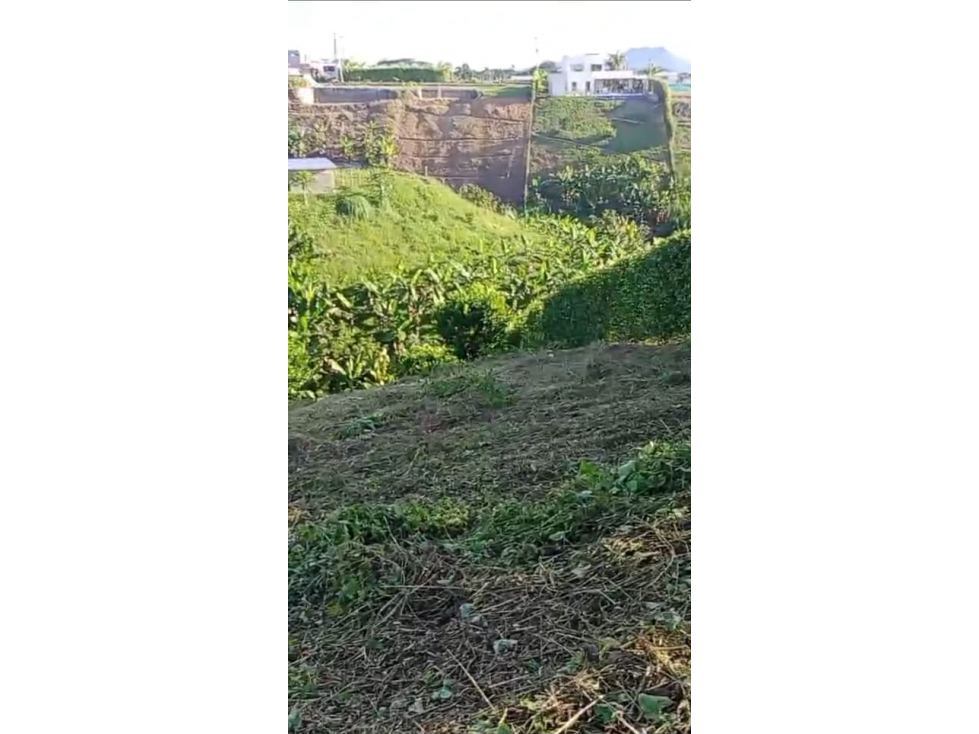 Se vende lote 1.500 m² en Portales de Alcalá — foto 5