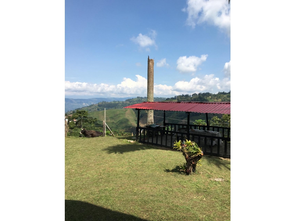 SE VENDE O SE PERMUTA FINCA VIA MARSELLA EXCELENTE UBICACIÓN - 4