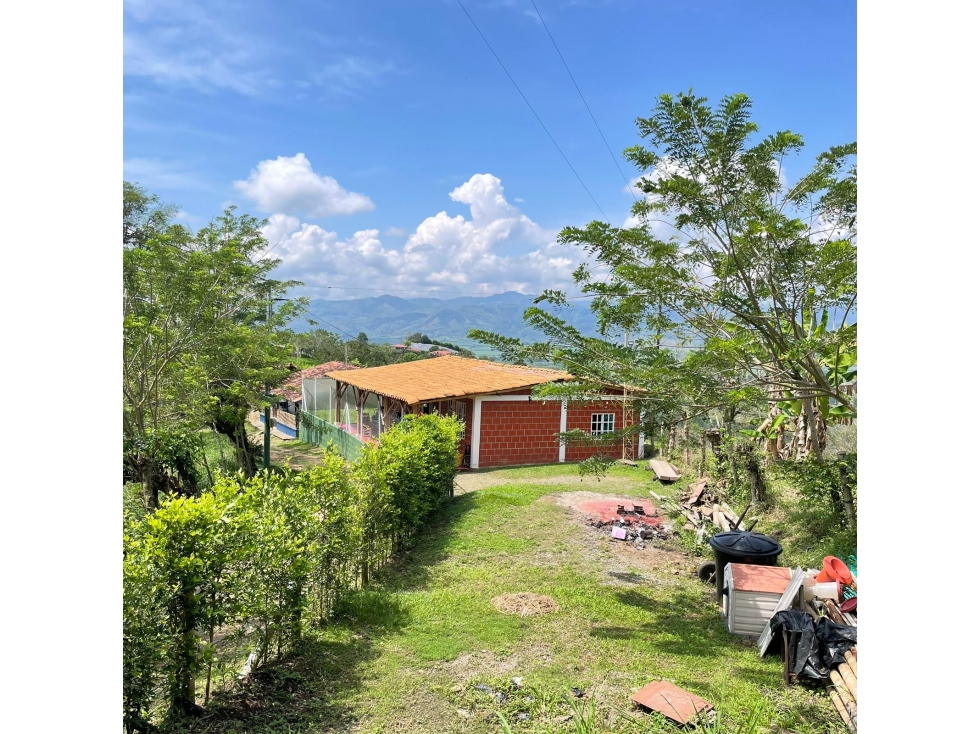 Se vende finca en Belalcázar 500m² solo efectivo - 4