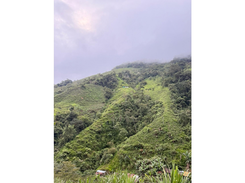 Se venden 2 fincas juntas en Pueblo Rico - 4