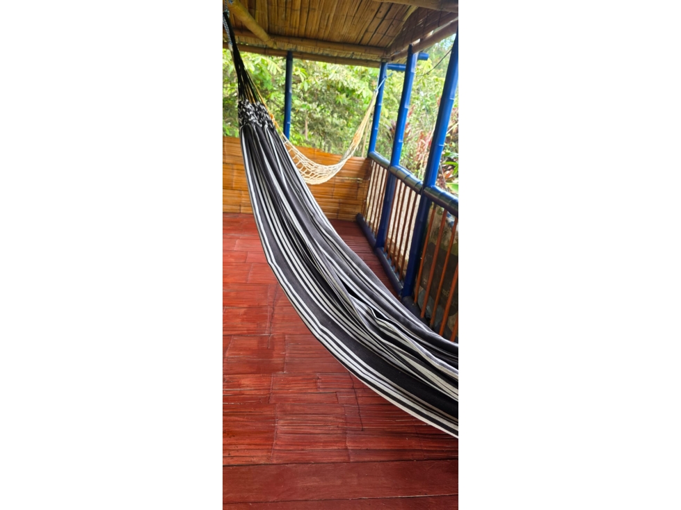 SE VENDE O PERMUTA FINCA VEREDA LAS TAZAS CERCA A MARSELLA - 4