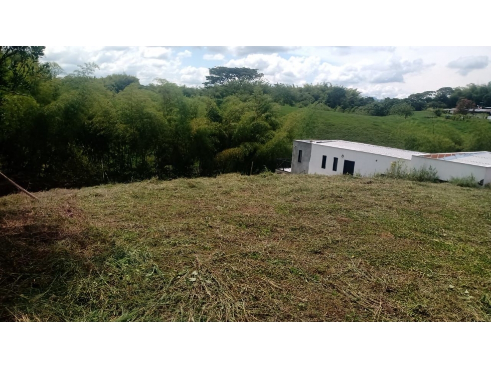 Se vende lote campestre en Parcelación Via Alcala — foto 4