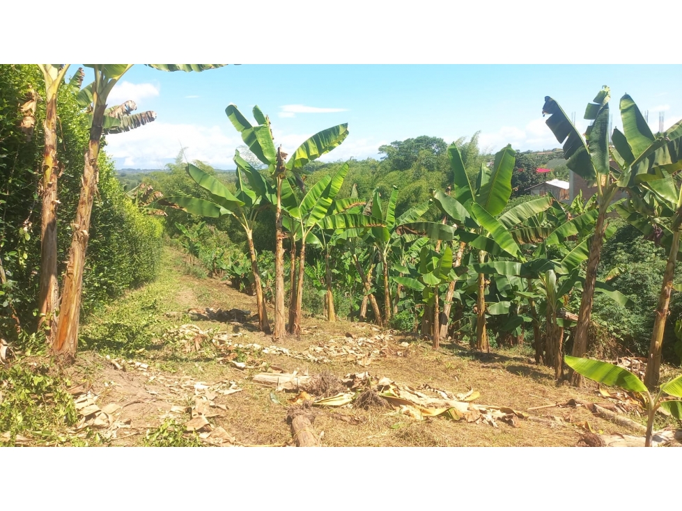 SE VENDE LOTE EN BETULIA EN PARCEALCION AREA 1237 - 4