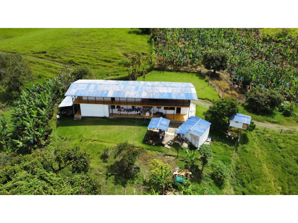 SE VENDE FINCA GANADERA ENTRE ARABIA Y ALCALA - 4