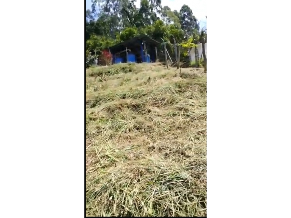 SE VENDE LOTE EN YARUMAL- ARABIA — foto 4