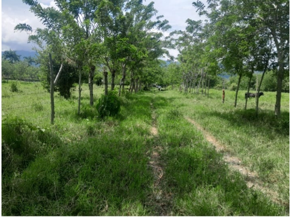 VITERBO SE VENDE LOTE DE 2017 M2 PLANOS - 4