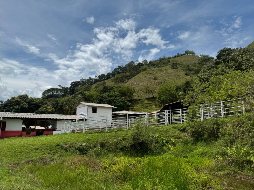 SE VENDE FINCA VIA BELALCAZAR CALDAS — foto 4