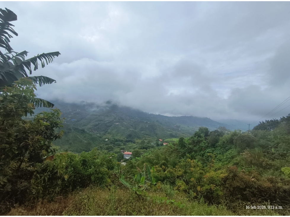 SE VENDE FINCA PRODUCTIVA EN COMBIA — foto 5