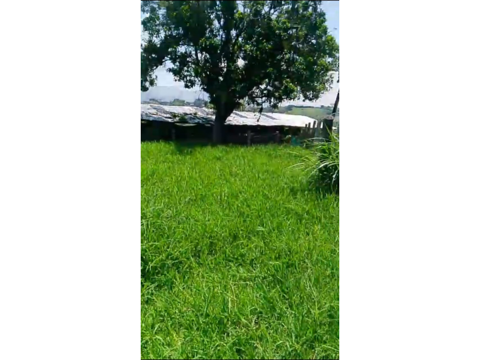 SE VEND LOTE EN CUBA PARA URBANIZAR AREA 42.000 M2 - 4