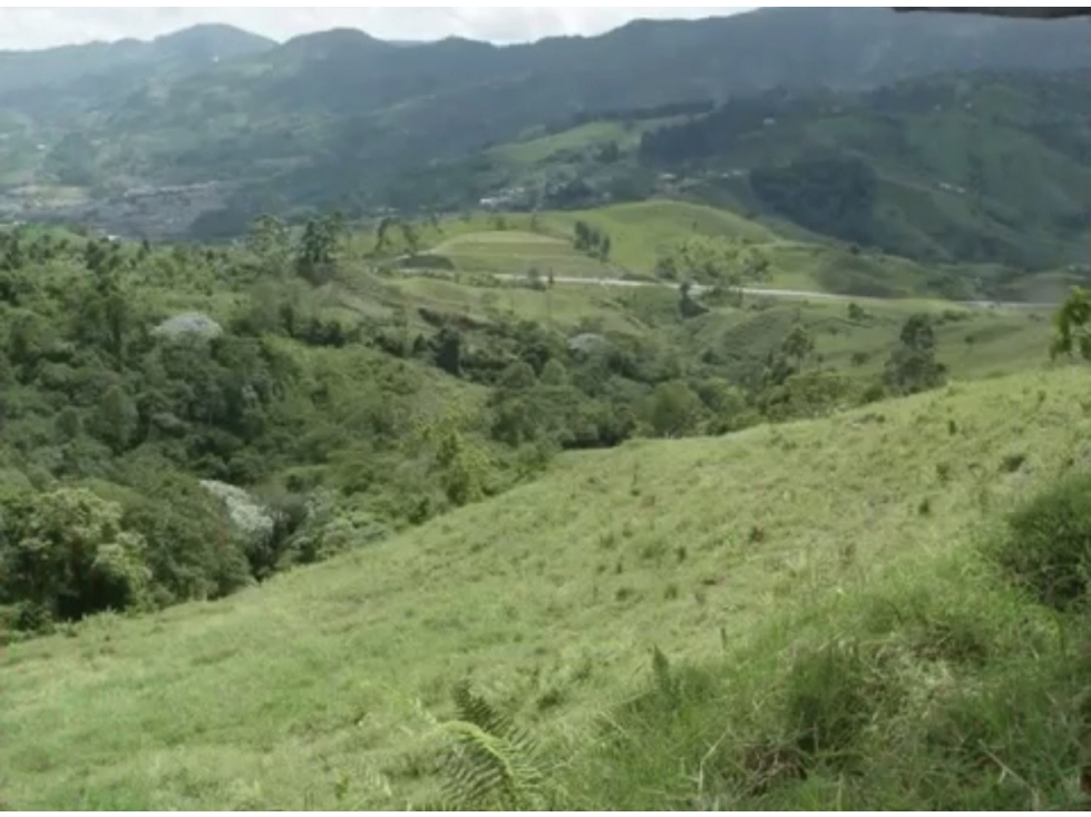 Increíble Mega Proyecto Inversión Construcción 83.000 m2 en Sta Rosa - 6