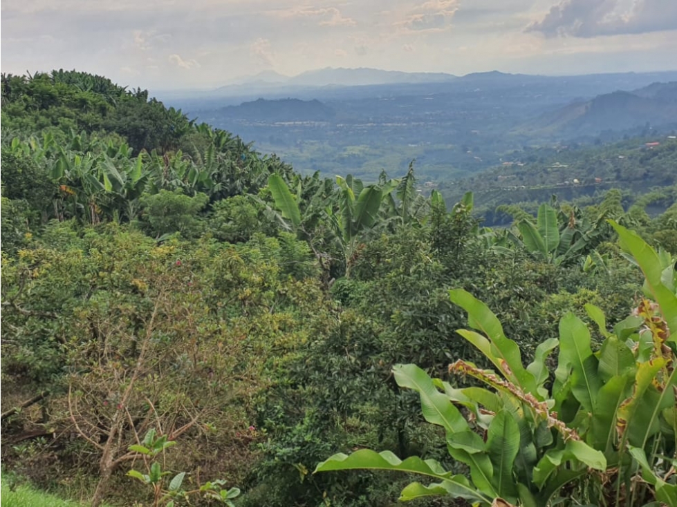 Se vende Excelente Finca de Trabajo en Combia — foto 5
