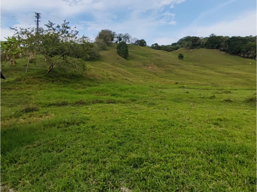 Vendo Finca en Viterbo - Via San Jose — foto 6