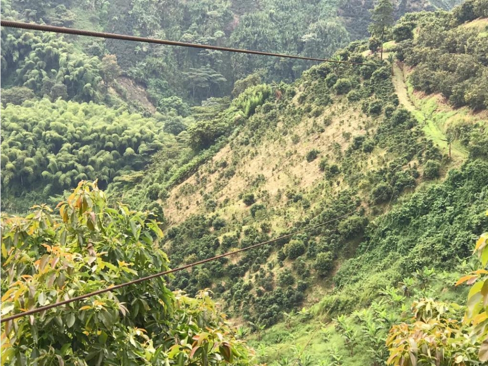 SE VENDE GRAN FINCA EXPORTADORA DE 44 CUADRAS SANTA ROSA — foto 5