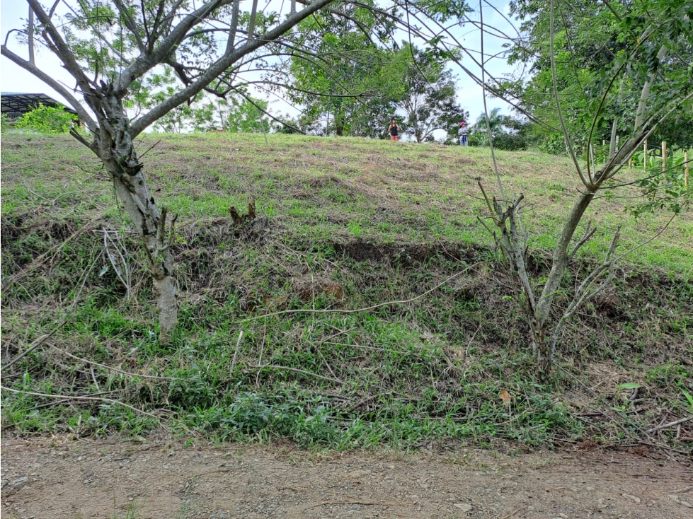 Se vende lote entre belalcazar y viterbo - 5