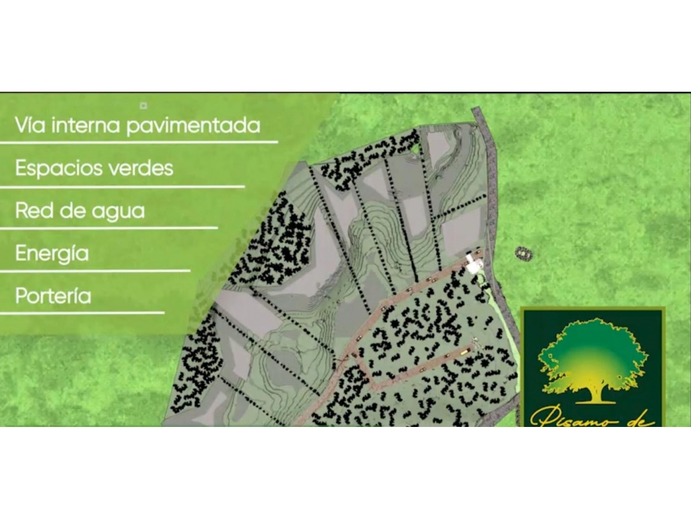 SE VENDEN HERMOSOS LOTES EN COMBIA, PEREIRA. — foto 5