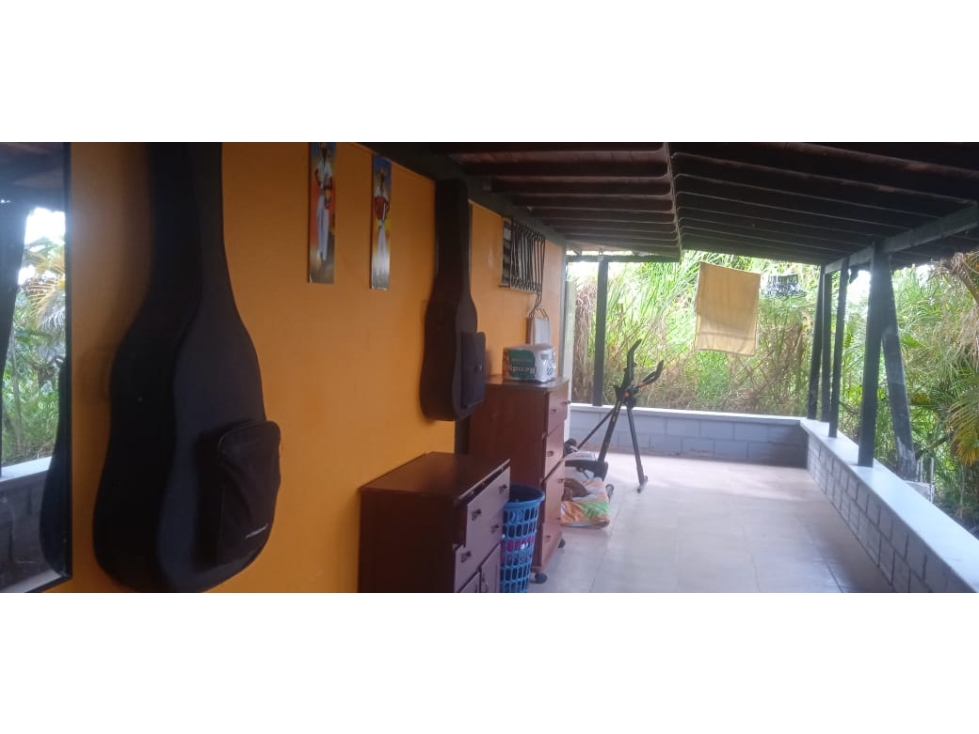 Se Vende Finca abordo de carretera en Ulloa Valle - 4