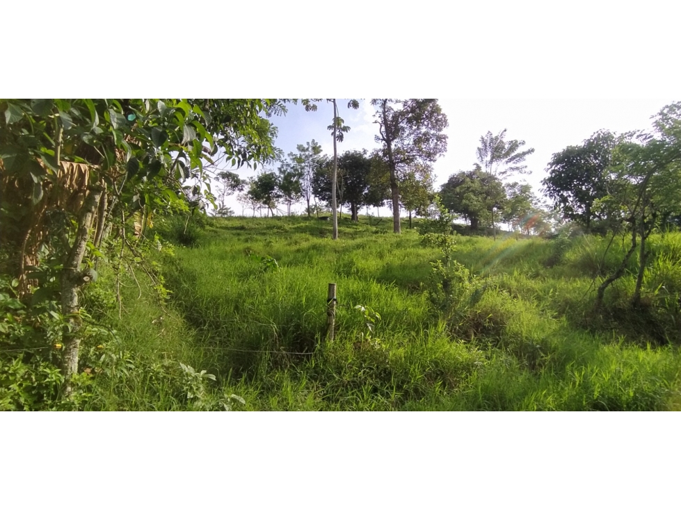 SE VENDEN LOTES EN ARABIA AREAS DESDE 1100 M2 HASTA 8798 M2 — foto 6