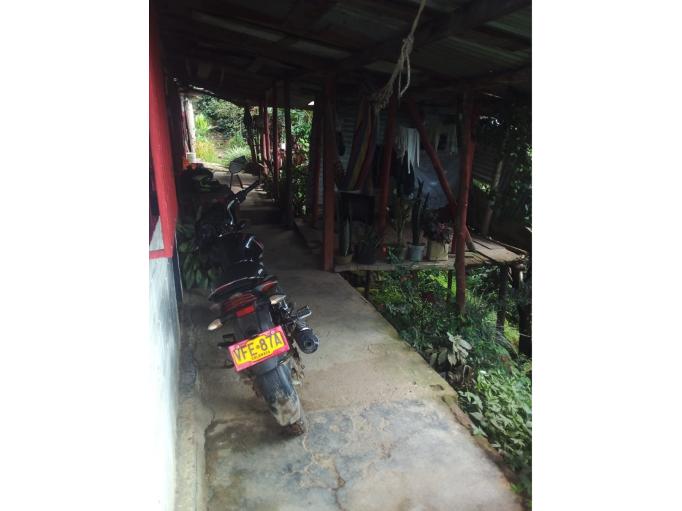 Vendo hermosa finca entre Apia y Viterbo cultivo de cafe y varios - 3