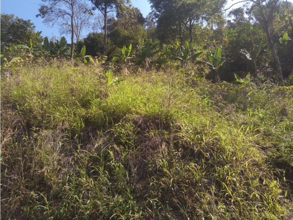 Espectacular terreno para una futura finca turistica Anserma Caldas - 6