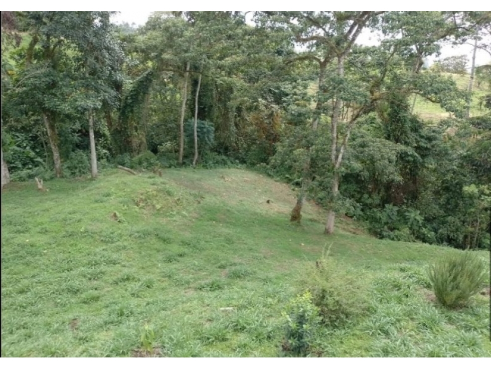 SE VENDE LOTE EN EL SECTOR LA BELLA — foto 6