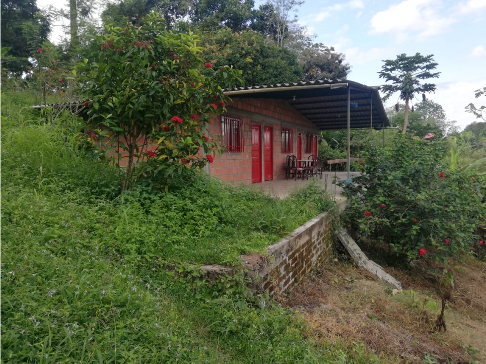se vende finca en Alcala