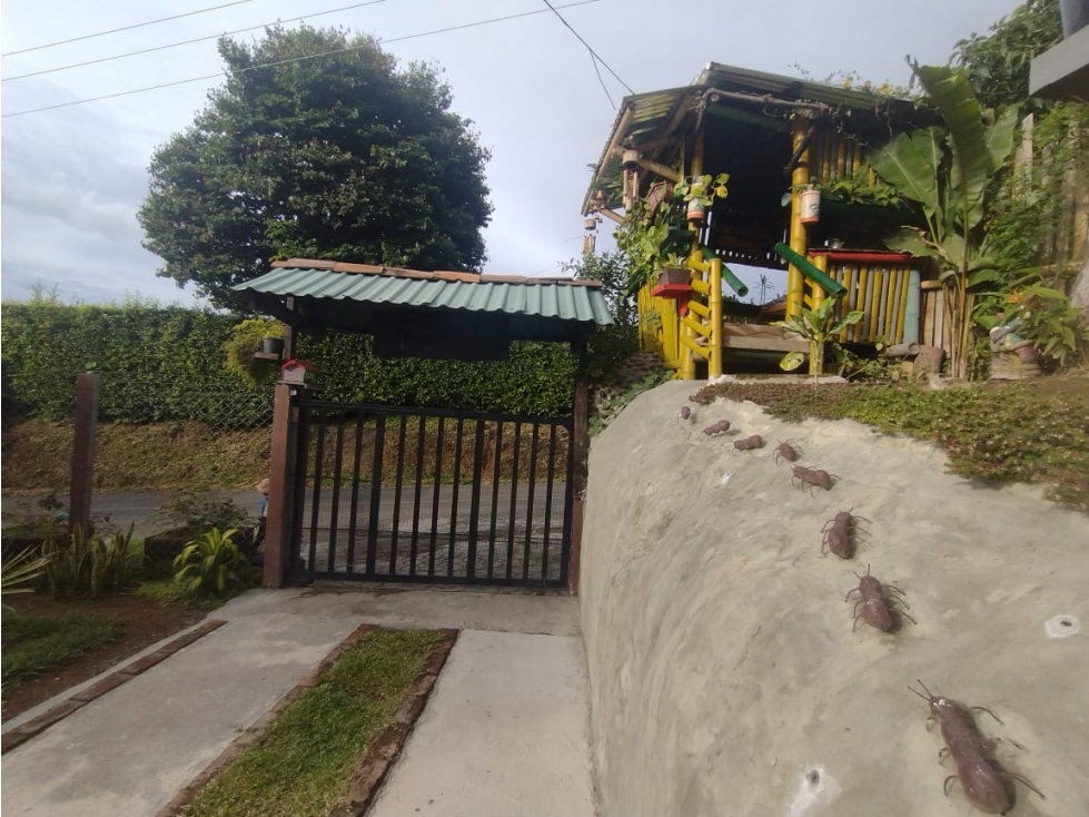 Oportunidad inversión turística! Se vende finca Via Alcala-Filandia - 5