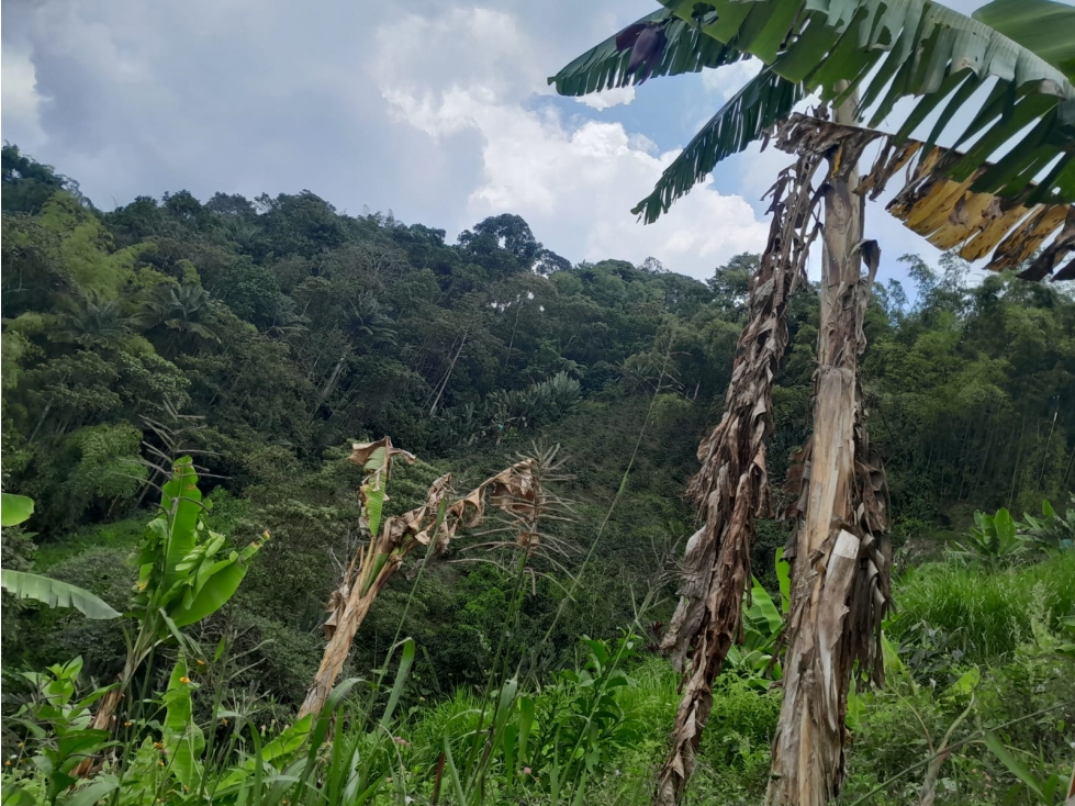 VENDE LOTE POR LA BANANERA LA FLORIDA AREA 2 CUADRAS PENDIENTE POCO — foto 5