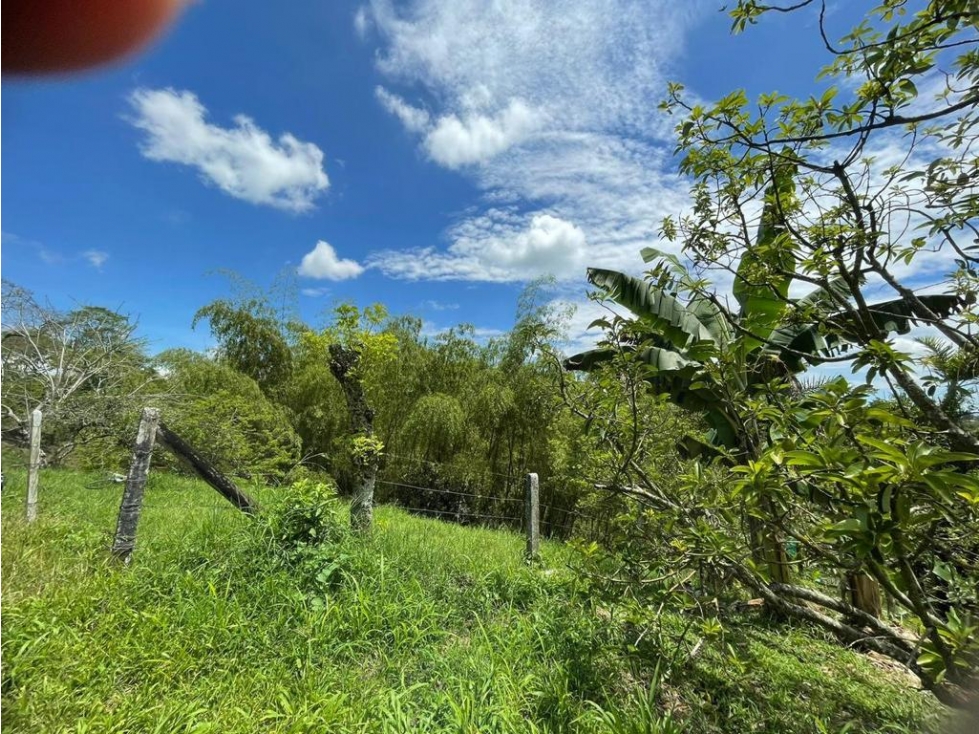 SE VENDE FINCA EN ALCALA CON 8 CUADRAS - 3