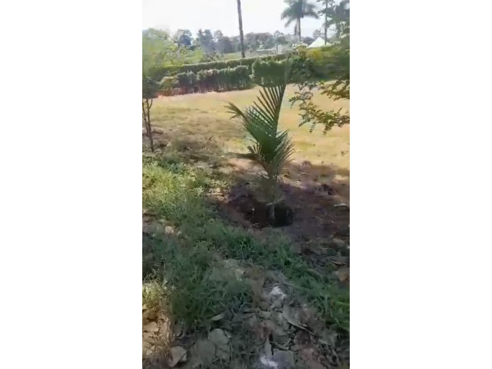 SE VENDE LOTE EN COMBIA VIA A MARSELLA AREA 2500 M2 — foto 5