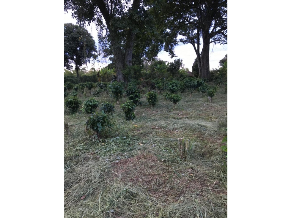 SE VENDE LOTE EN ARAVIA A 5 MINUTOS DE VIA PRINCIPAL — foto 5