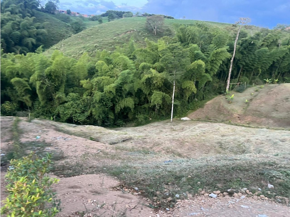 SE VENDE LOTE DE 2100 MTS VIA ARMENIA EN CONDOMINIO — foto 5